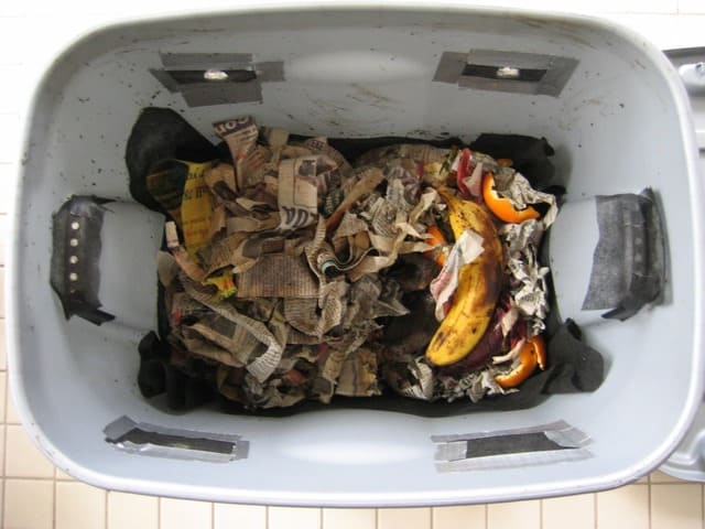 How to Stop Compost From Smelling: Easy Ways & Steps