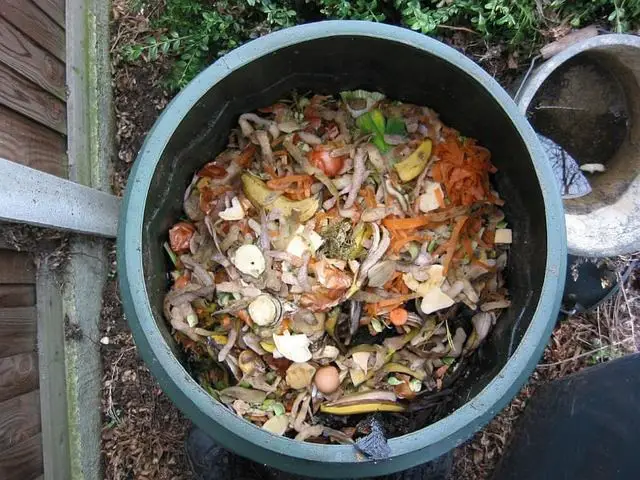 How to Compost Indoors Without Worms: One Easy Way