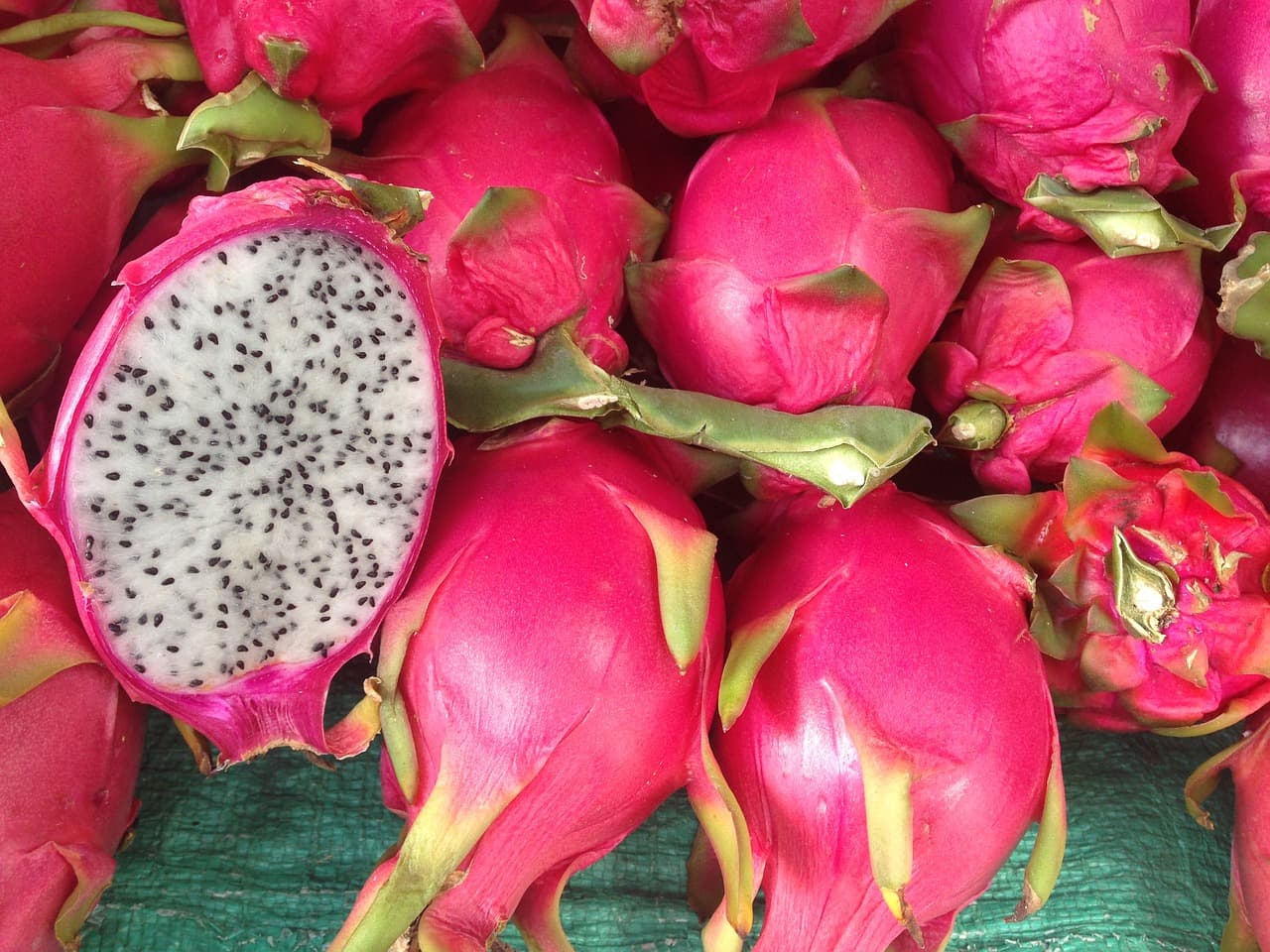 Red Vs White Dragon Fruit What S The Difference