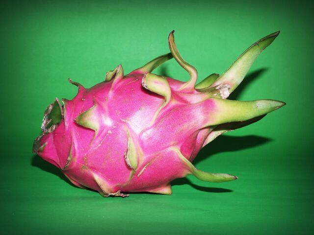 Dragon Fruits Dropping? Here's Why