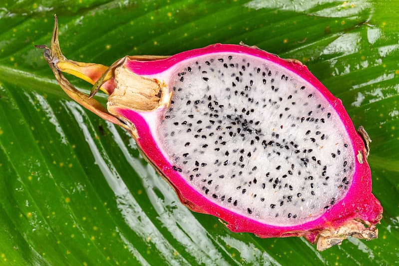 How to Grow Sweeter, More Flavorful Dragon Fruits