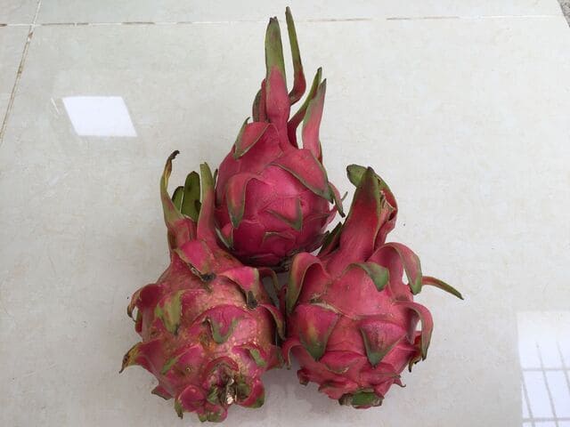Why Do They Call It Dragon Fruit: Short Story