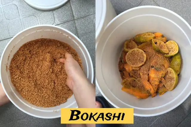 How to Make Bokashi Bran: Step by Step